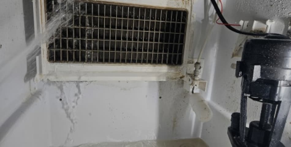 제빙기 분해 세척 사례