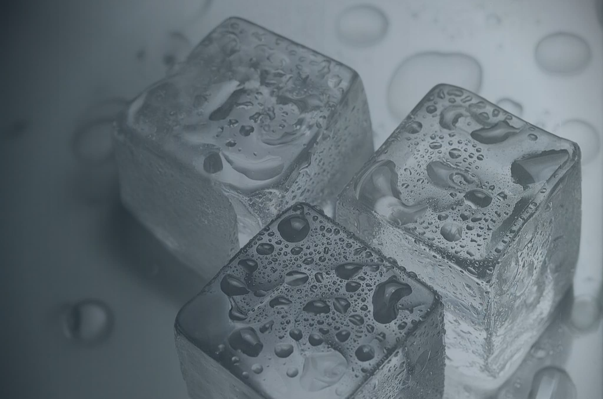 제빙기 케어 서비스